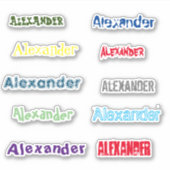 10デカールのカスタマイズ可能な名前シート シール (正面)