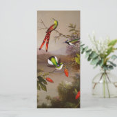 10ハミングバードのカードを持つ熱帯景観 (スタンド正面)