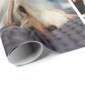 10パーソナライズされた枚のコラージュ ラッピングペーパー (ロールコーナー)