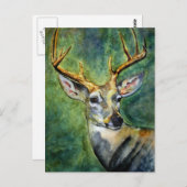 10ポインター（鹿）はがき ポストカード (正面/裏面)