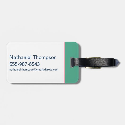 10代のタイタン行け！ビーストボーイ"Truth Justice Burrito" ラゲッジタグ (裏面横)