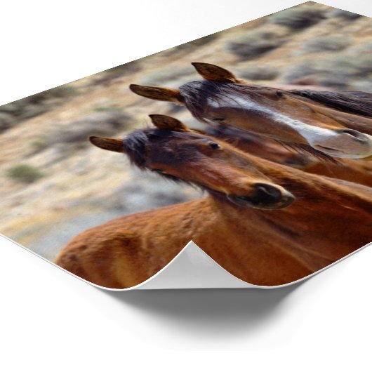 10代の子を持つ母 ポスター (角)