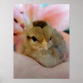 10代の手に ポスター (正面)