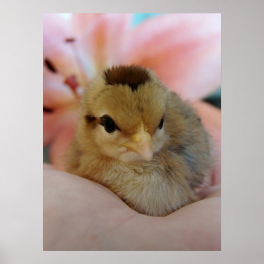 10代の手に ポスター (正面)