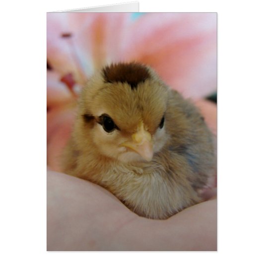 10代の手のすべての行事グリーティ空白のングカード (正面)