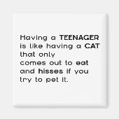 10代の若者... マグネット (正面)