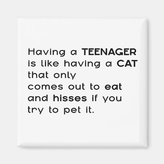 10代の若者... マグネット (正面)