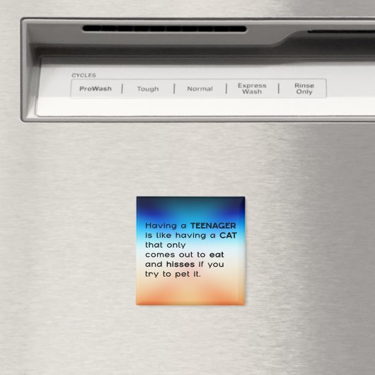 10代の若者... マグネット (インサイチュ (食洗機))