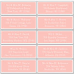 10個のゲスト名アドレスパーティー結婚 シール<br><div class="desc">10 Individual Guest Name Addressパーティーの春結婚Poppy Pink Script Stickersは、春のポピーなピンクの背景に白の各ステッカーに、お客様のゲスト名とアドレスを付けた10のステッカーを備えている。クリスマスやホリデーカード、パーティの招待状、サンキューカード、オフィスのメール配信にも最適。提供されている文字ボックスで文字を編集する。Evco Studioの他の色とオプションを表示https://www.zazzle.com/store/evcostudio</div>