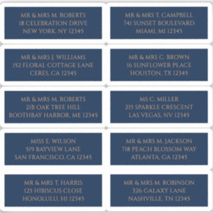 10個のゲスト名アドレスMystical Blue シール