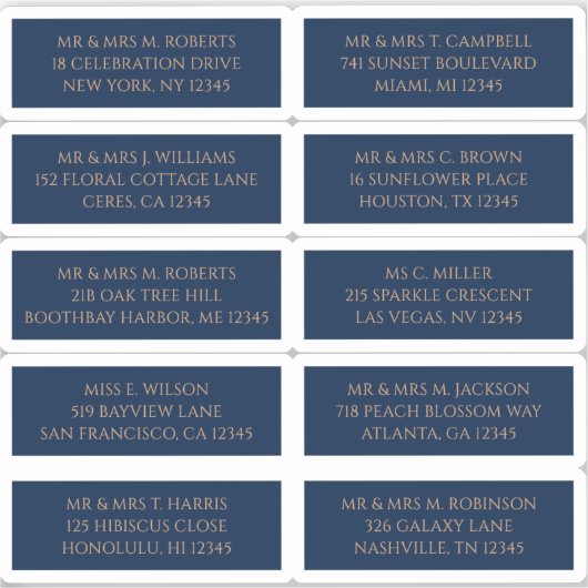 10個のゲスト名アドレスMystical Blue シール (正面)