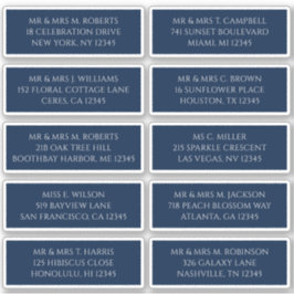 10個のゲスト名アドレスMystical Blue シール