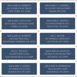 10個のゲスト名アドレスMystical Blue シール