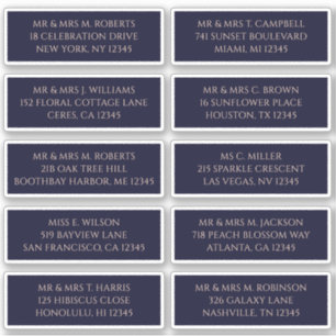 10個のゲスト名アドレスMystical Navy シール