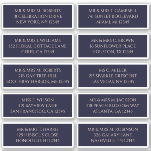 10個のゲスト名アドレスMystical Navy シール (正面)