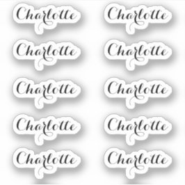 10個セット |小エレガントさなスクリプト名 シール