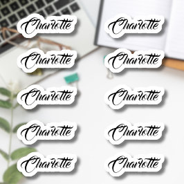 10個セット |小エレガントさなスクリプト名 シール