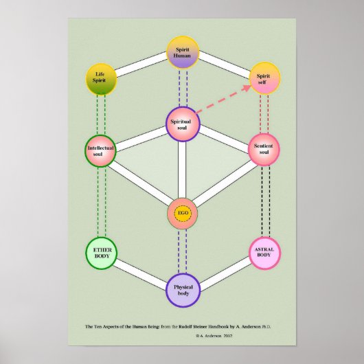 10倍の人間 ポスター (正面)