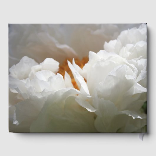 10周年記念結婚パーティーw牡丹ゲストブック ゲストブック (裏面)