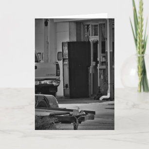 「10時、14時、16時にドクターがいます」お見舞いカード カード