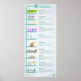 10最も珍しい集団名詞が明らかにされ公開される ポスター