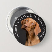 10月に保護犬を養子に 缶バッジ (正面&裏面)