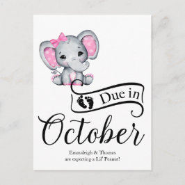 10月に生まれます リトルピーナッツ 赤ちゃんゾウの女の子 ポストカード