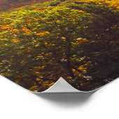 10月に眠るベアーデュネス国立公園 ポスター (角)