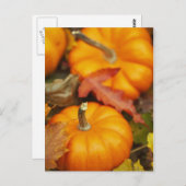 10月のデザイン ポストカード (正面/裏面)