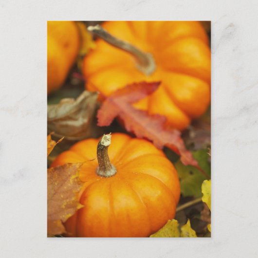 10月のデザイン ポストカード (正面)