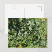 10月のポストカード ポストカード (正面/裏面)