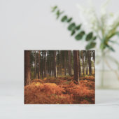 10月の光 ポストカード (スタンド正面)