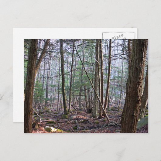 10月の山はがき ポストカード (正面/裏面)