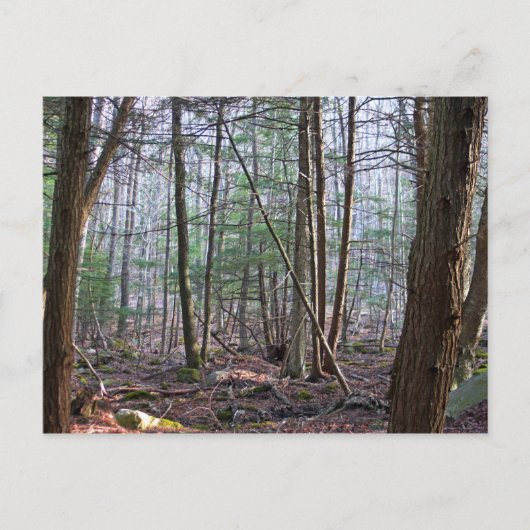 10月の山はがき ポストカード (正面)