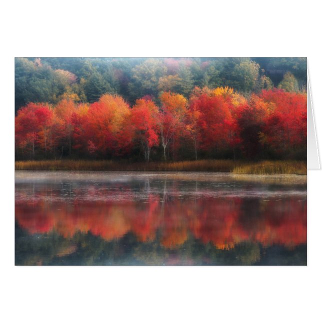 10月の木 (正面横)