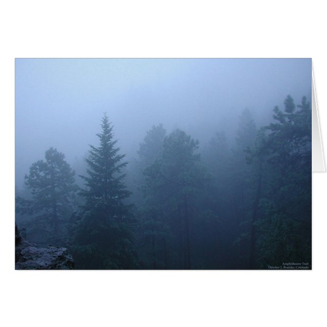 10月の森林 (正面横)