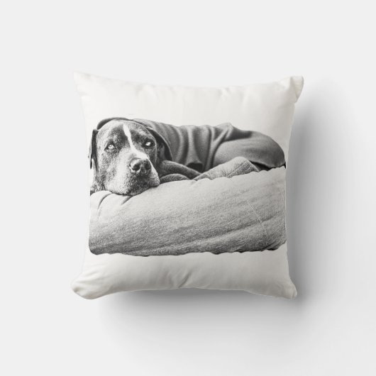 10月の眠り クッション (正面)