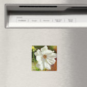 「10月の花コスモス」ジャナエL... マグネット (インサイチュ (食洗機))