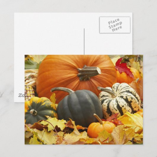 10月の装飾 ポストカード (正面/裏面)