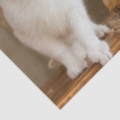 10月キャットティッシュペーパー 薄葉紙 (詳細)