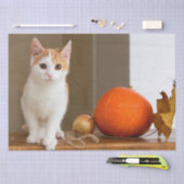 10月キャットティッシュペーパー 薄葉紙 (クラフト)