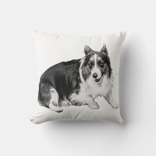 10月コンパニオン クッション (正面)