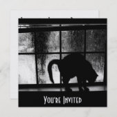 10月シャワーキャットシルエットアットウィンドウ2 B&W 招待状 (正面/裏面)