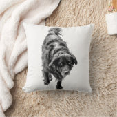 10月ナイトウォッチ クッション (ブランケット)