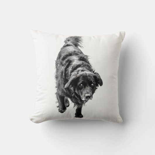 10月ナイトウォッチ クッション (正面)