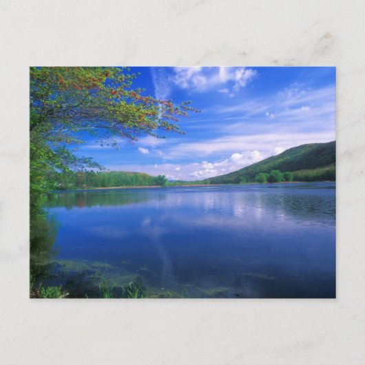 10月マウンテン州フォレストベルクシャー ポストカード (正面)