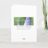 10月桃バラ詩誕生日 カード (裏面)