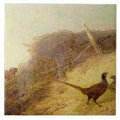 10月第1のキジの上で歩くこと(Alを見て下さい タイル (正面)