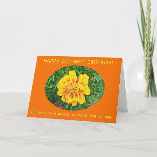 10月花特有ハッピーバースデー車 カード (正面)