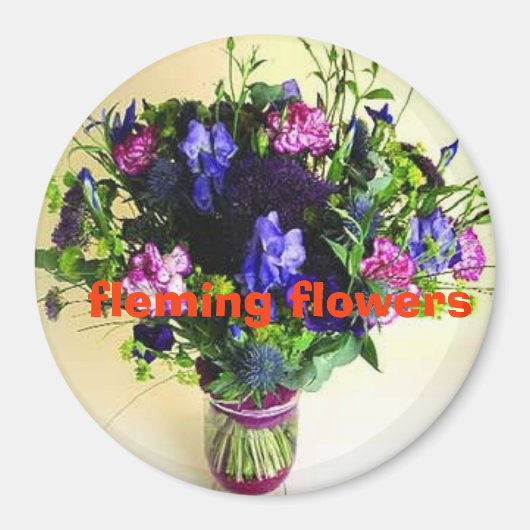 10月20日写真095，フレミングfl... マグネット (正面)